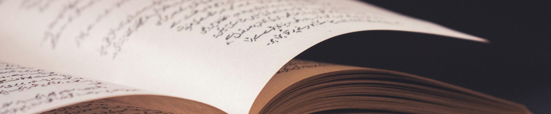 areej-fateyma-YN2kOv8y9Ho-unsplash