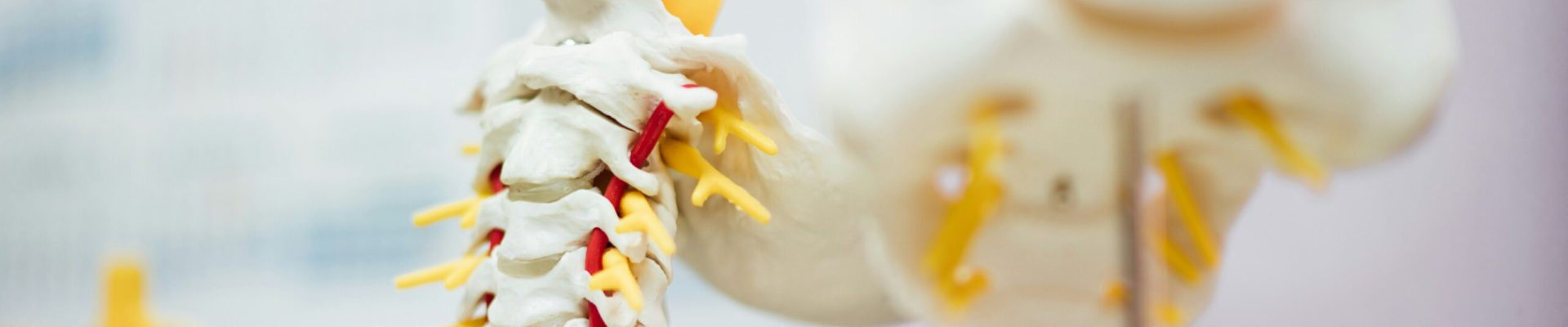 chuttersnap-1eL99eGXp0g-unsplash