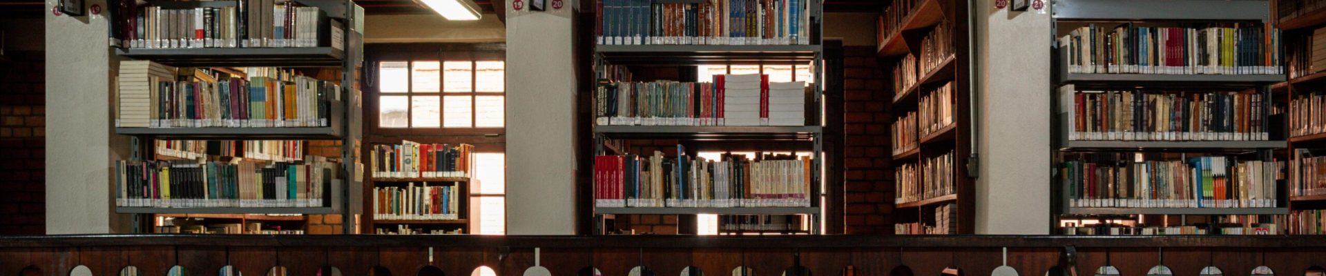pexels-giovanna-kamimura-399616174-33750808