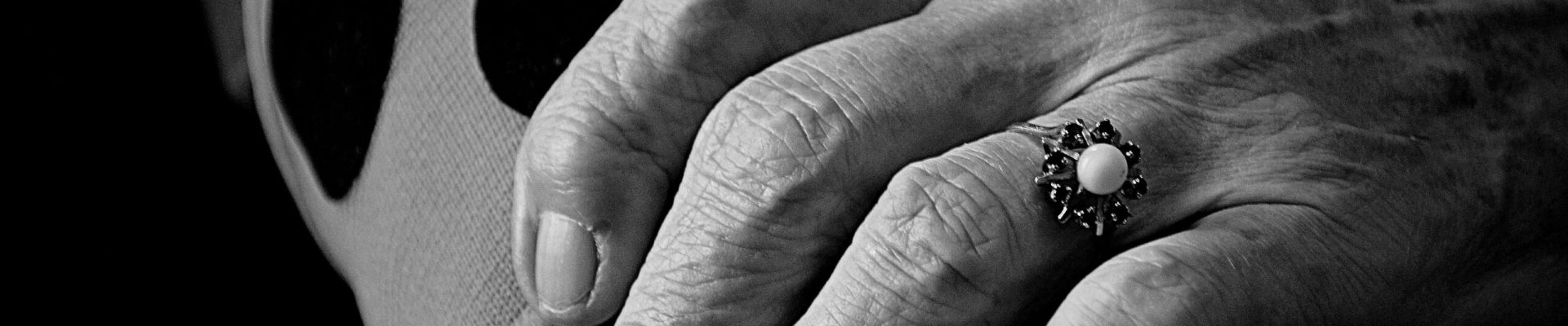 pexels-mario-wallner-107470762-9556415 (1)